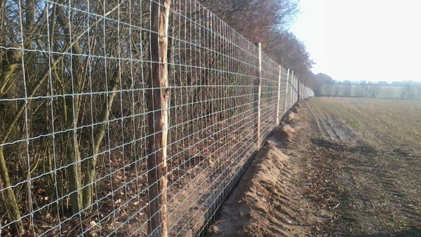 afrasteringssystemen, bouw van hertenboerderijen, uitgebreide dienstverlening, afrastering van grote gebieden in Polen