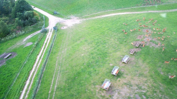 afrasteringssystemen, bouw van hertenboerderijen, uitgebreide dienstverlening, afrastering van grote gebieden in Polen