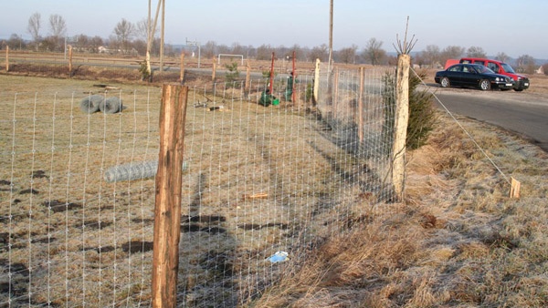 afrasteringssystemen, bouw van hertenboerderijen, uitgebreide dienstverlening, afrastering van grote gebieden in Polen
