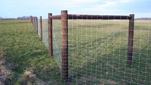 afrasteringssystemen, bouw van hertenboerderijen, uitgebreide dienstverlening, afrastering van grote gebieden in Polen