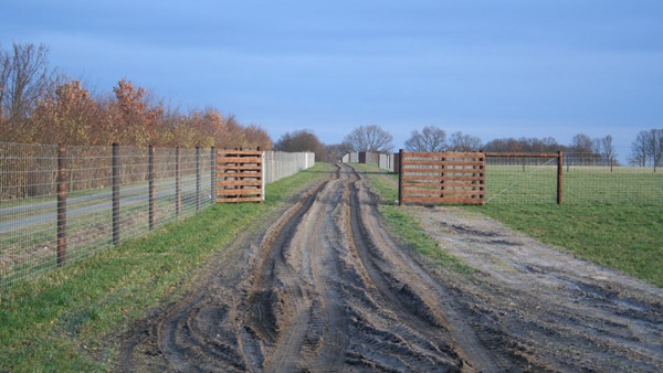 afrasteringssystemen, bouw van hertenboerderijen, uitgebreide dienstverlening, afrastering van grote gebieden in Polen