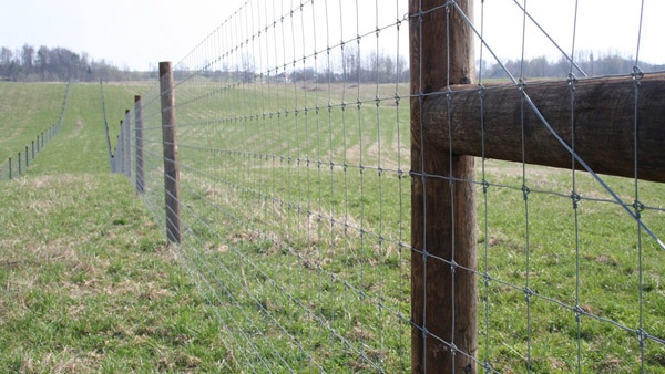 afrasteringssystemen, bouw van hertenboerderijen, uitgebreide dienstverlening, afrastering van grote gebieden in Polen