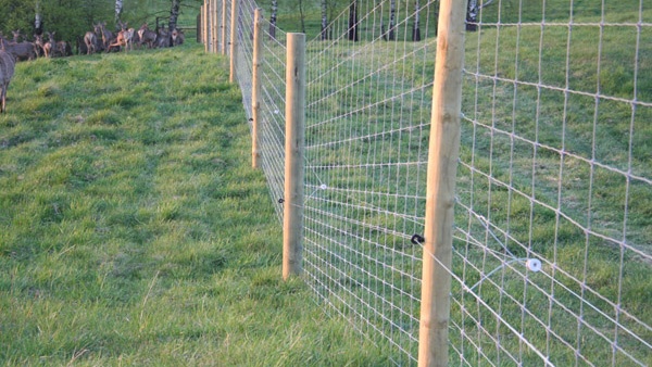 afrasteringssystemen, bouw van hertenboerderijen, uitgebreide dienstverlening, afrastering van grote gebieden in Polen