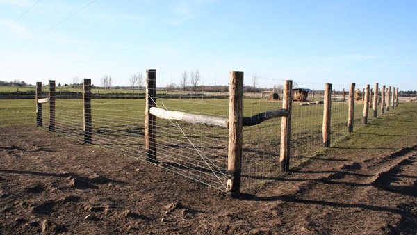 afrasteringssystemen, bouw van hertenboerderijen, uitgebreide dienstverlening, afrastering van grote gebieden in Polen