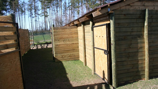 afrasteringssystemen, bouw van hertenboerderijen, uitgebreide dienstverlening, afrastering van grote gebieden in Polen