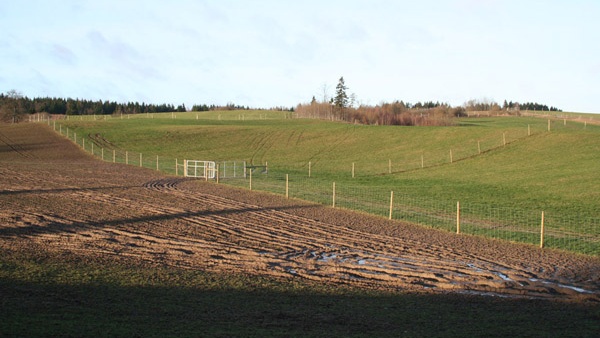 afrasteringssystemen, bouw van hertenboerderijen, uitgebreide dienstverlening, afrastering van grote gebieden in Polen