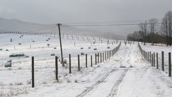 afrasteringssystemen, bouw van hertenboerderijen, uitgebreide dienstverlening, afrastering van grote gebieden in Polen