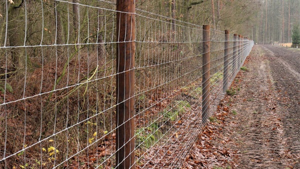 afrasteringssystemen, bouw van hertenboerderijen, uitgebreide dienstverlening, afrastering van grote gebieden in Polen