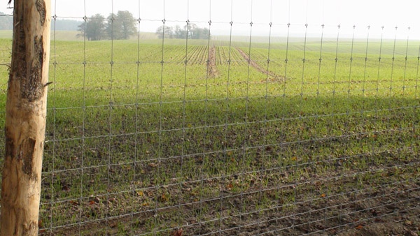 afrasteringssystemen, bouw van hertenboerderijen, uitgebreide dienstverlening, afrastering van grote gebieden in Polen