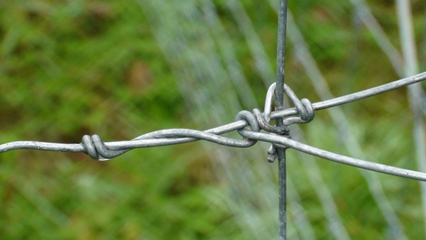 afrasteringssystemen, bouw van hertenboerderijen, uitgebreide dienstverlening, afrastering van grote gebieden in Polen