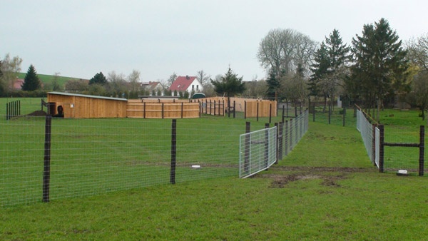 afrasteringssystemen, bouw van hertenboerderijen, uitgebreide dienstverlening, afrastering van grote gebieden in Polen