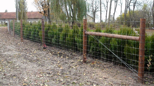 afrasteringssystemen, bouw van hertenboerderijen, uitgebreide dienstverlening, afrastering van grote gebieden in Polen