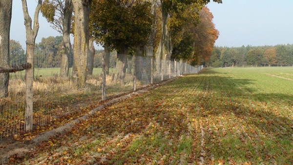 afrasteringssystemen, bouw van hertenboerderijen, uitgebreide dienstverlening, afrastering van grote gebieden in Polen