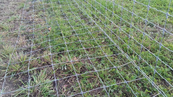 afrasteringssystemen, bouw van hertenboerderijen, uitgebreide dienstverlening, afrastering van grote gebieden in Polen