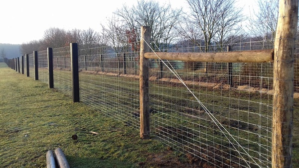 afrasteringssystemen, bouw van hertenboerderijen, uitgebreide dienstverlening, afrastering van grote gebieden in Polen