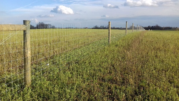 afrasteringssystemen, bouw van hertenboerderijen, uitgebreide dienstverlening, afrastering van grote gebieden in Polen