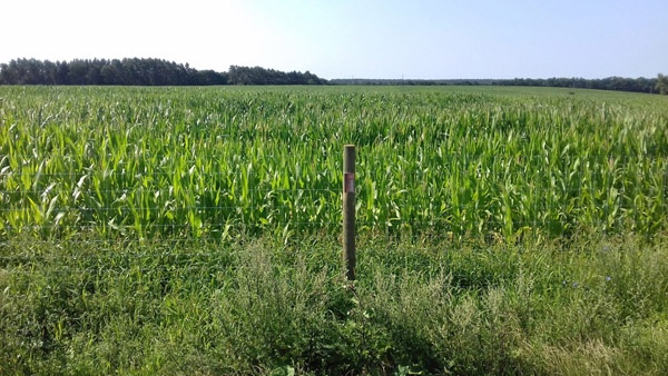 afrasteringssystemen, bouw van hertenboerderijen, uitgebreide dienstverlening, afrastering van grote gebieden in Polen