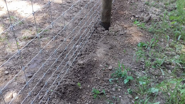 afrasteringssystemen, bouw van hertenboerderijen, uitgebreide dienstverlening, afrastering van grote gebieden in Polen