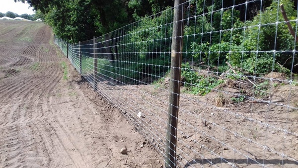afrasteringssystemen, bouw van hertenboerderijen, uitgebreide dienstverlening, afrastering van grote gebieden in Polen