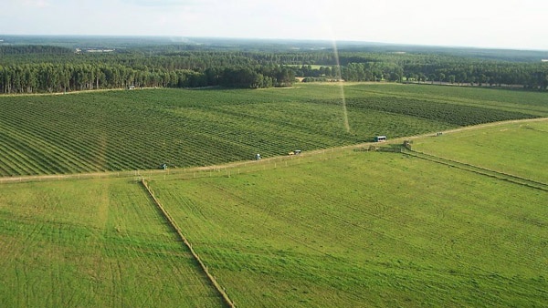 afrasteringssystemen, bouw van hertenboerderijen, uitgebreide dienstverlening, afrastering van grote gebieden in Polen