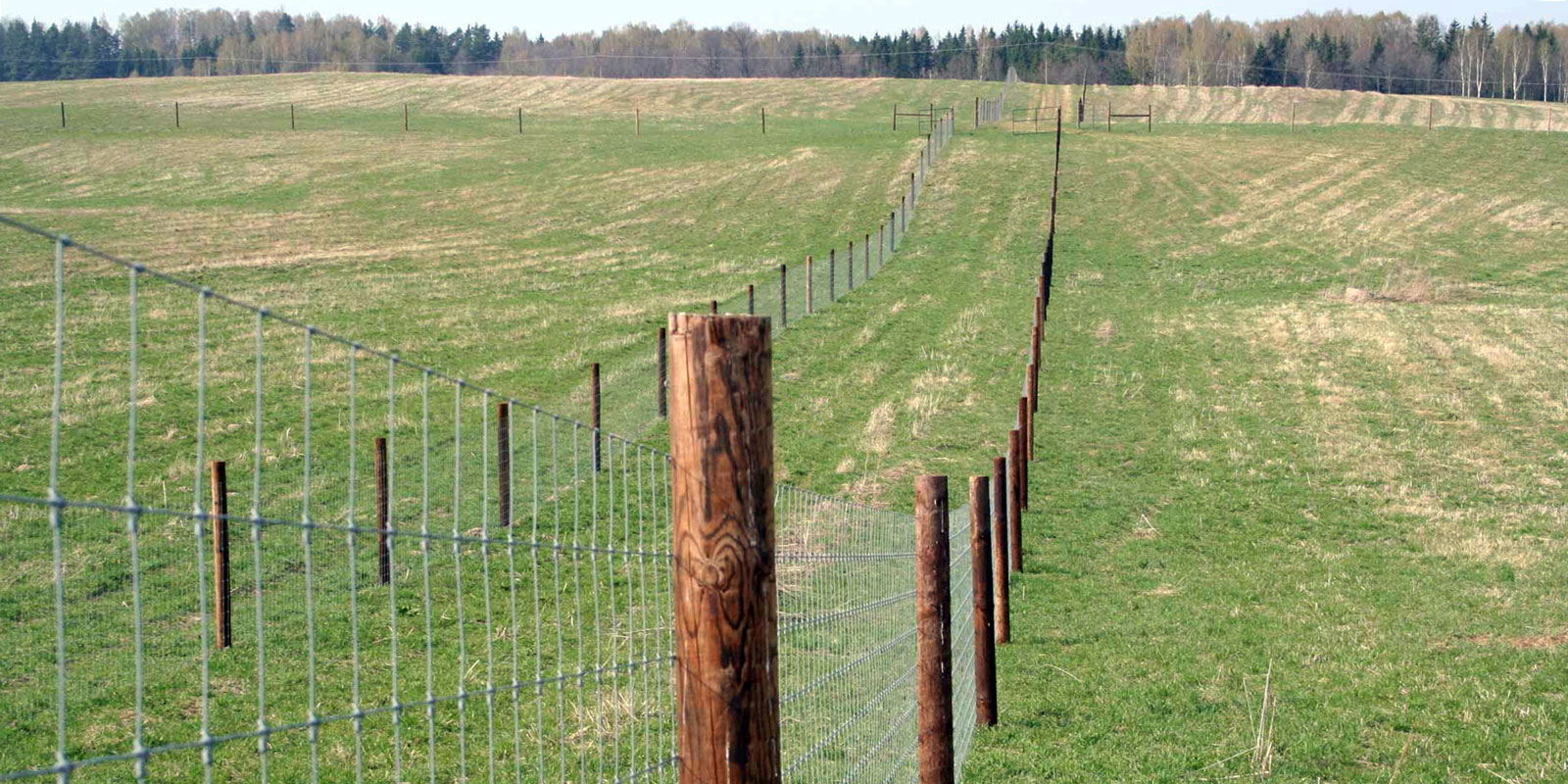 afrasteringssystemen, bouw van hertenboerderijen, uitgebreide dienstverlening, afrastering van grote gebieden in Polen