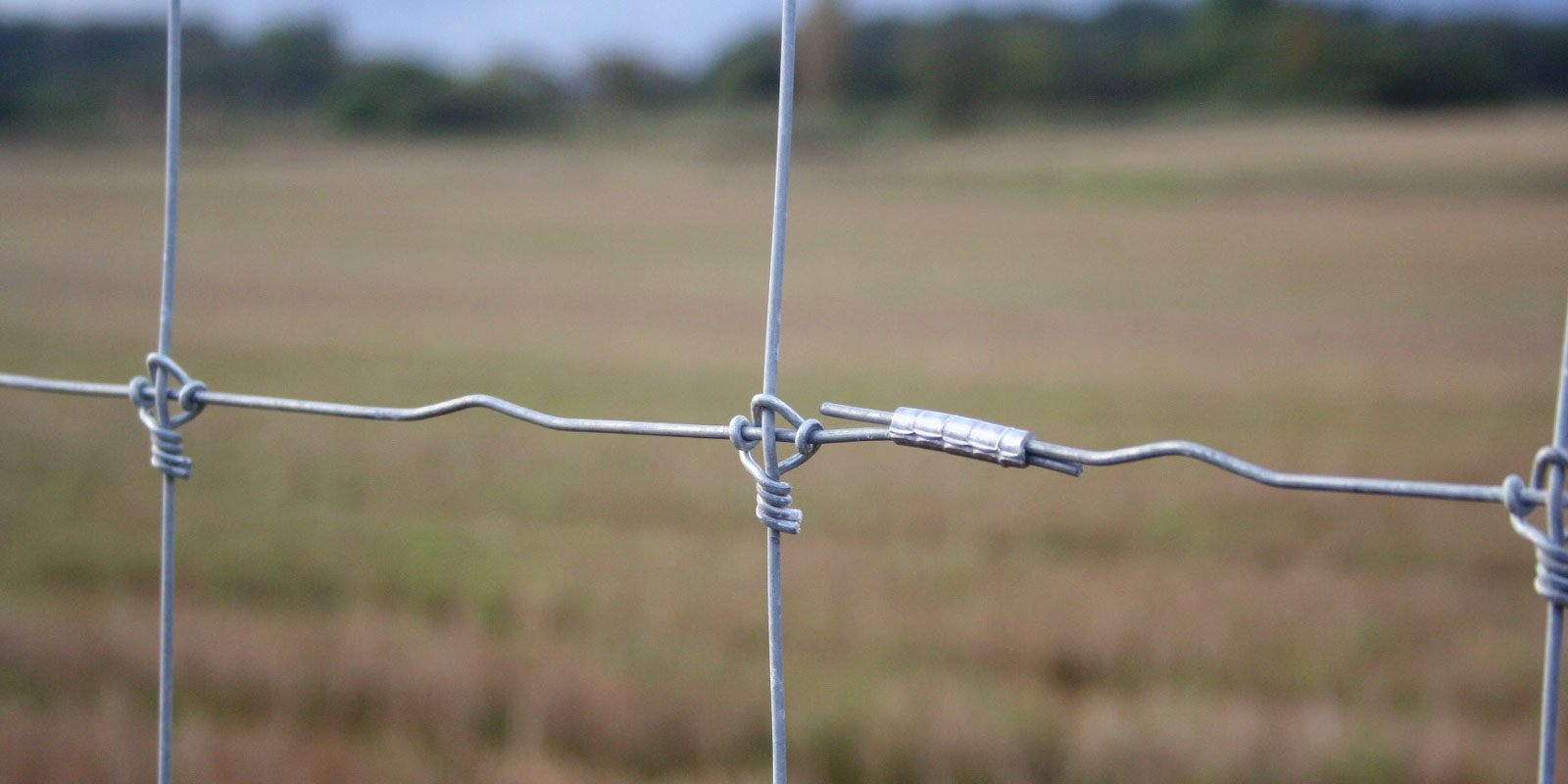 afrasteringssystemen, bouw van hertenboerderijen, uitgebreide dienstverlening, afrastering van grote gebieden in Polen