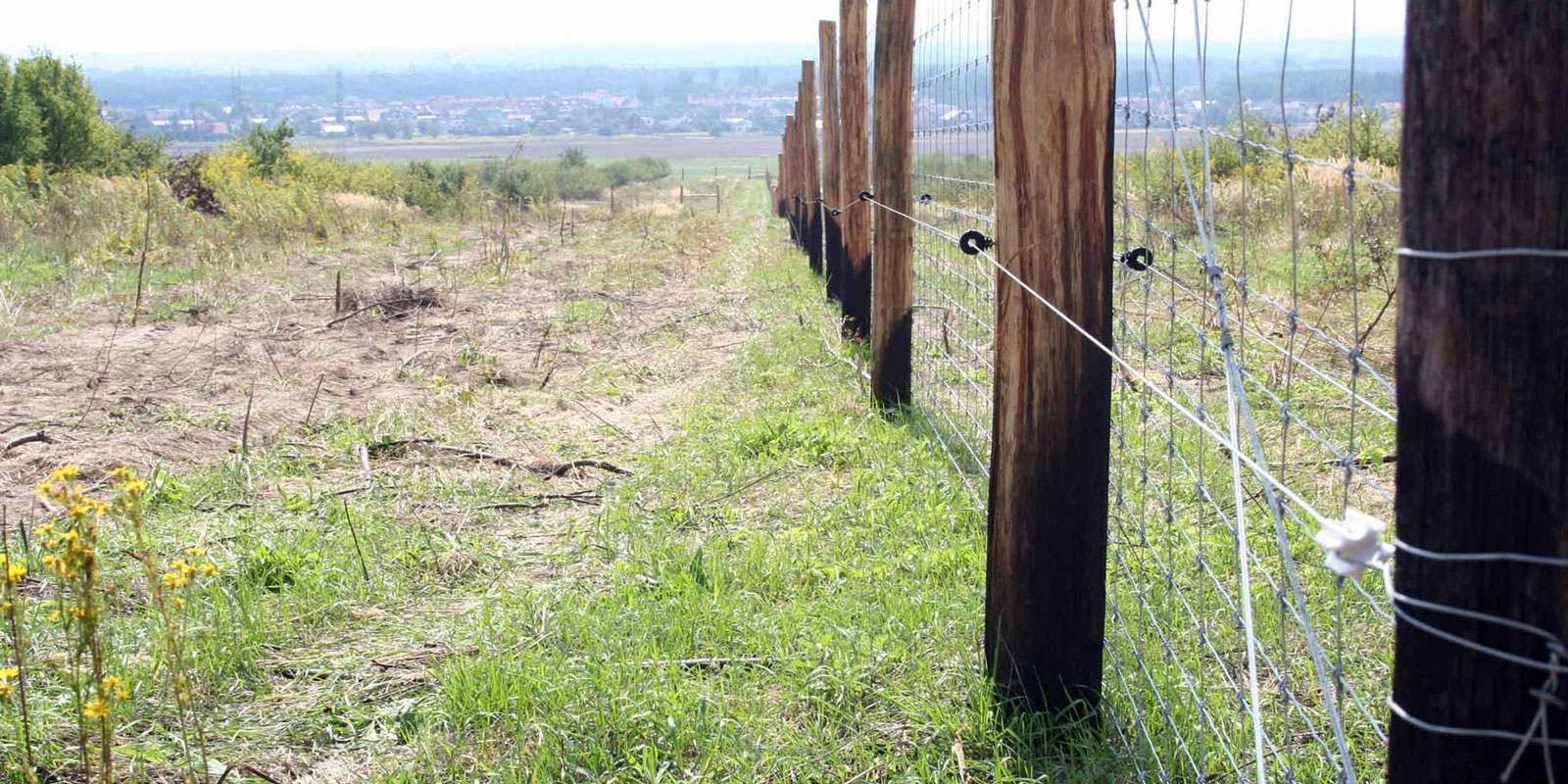afrasteringssystemen, bouw van hertenboerderijen, uitgebreide dienstverlening, afrastering van grote gebieden in Polen